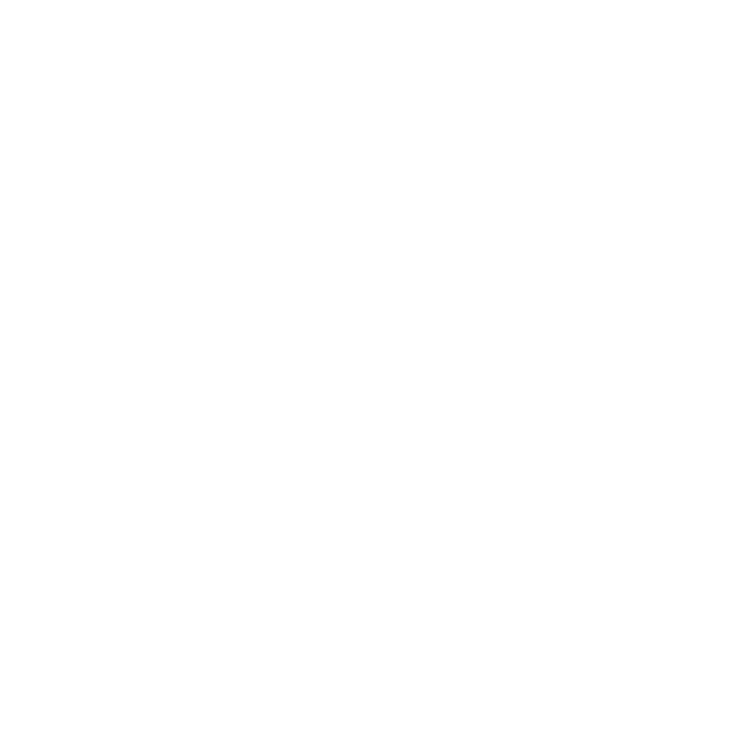 Custom-Business-Solutions-2.png